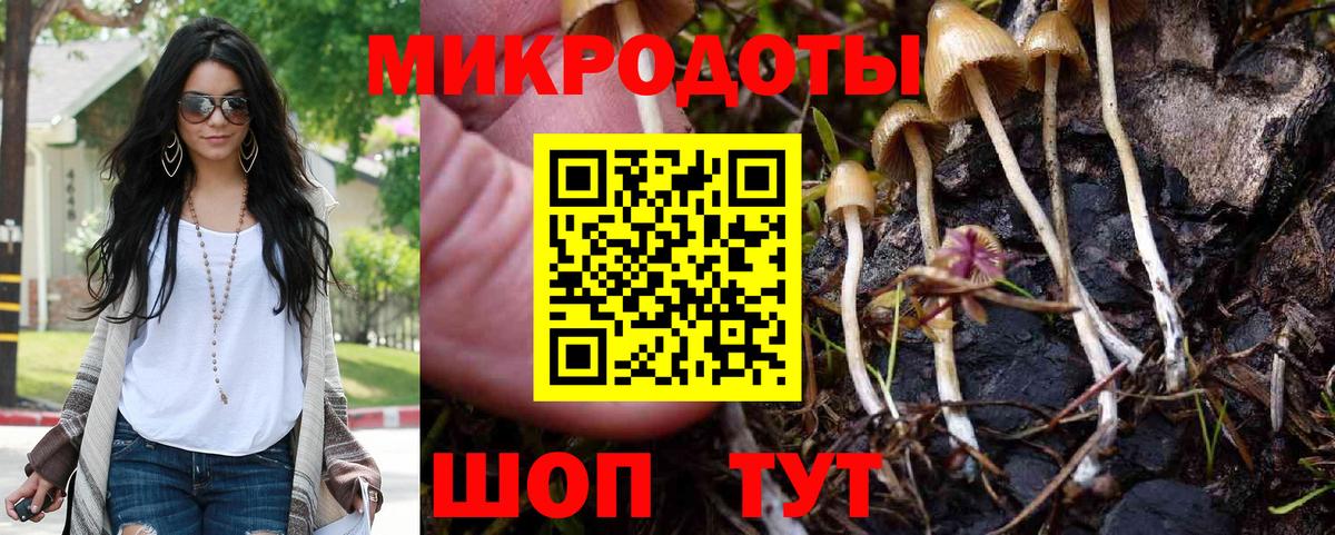 Лениногорск  Псилоцибиновые грибы MAGIC MUSHROOMS  хочу наркоту  Вход с VPN 