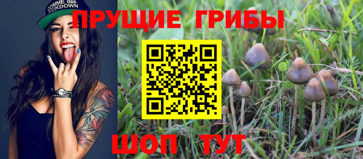 Галлюциногенные грибы мухоморы Лениногорск